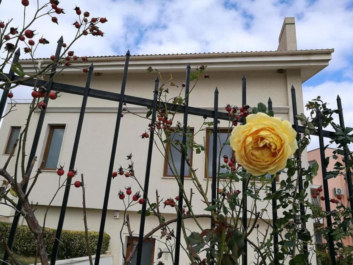 Exclusive Big Villa Bjała Zewnętrze zdjęcie